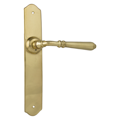 Polished Brass Door Levers