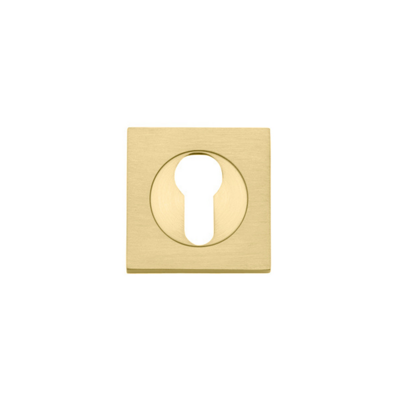 Euro Escutcheon Square Pair Brushed Gold PVD