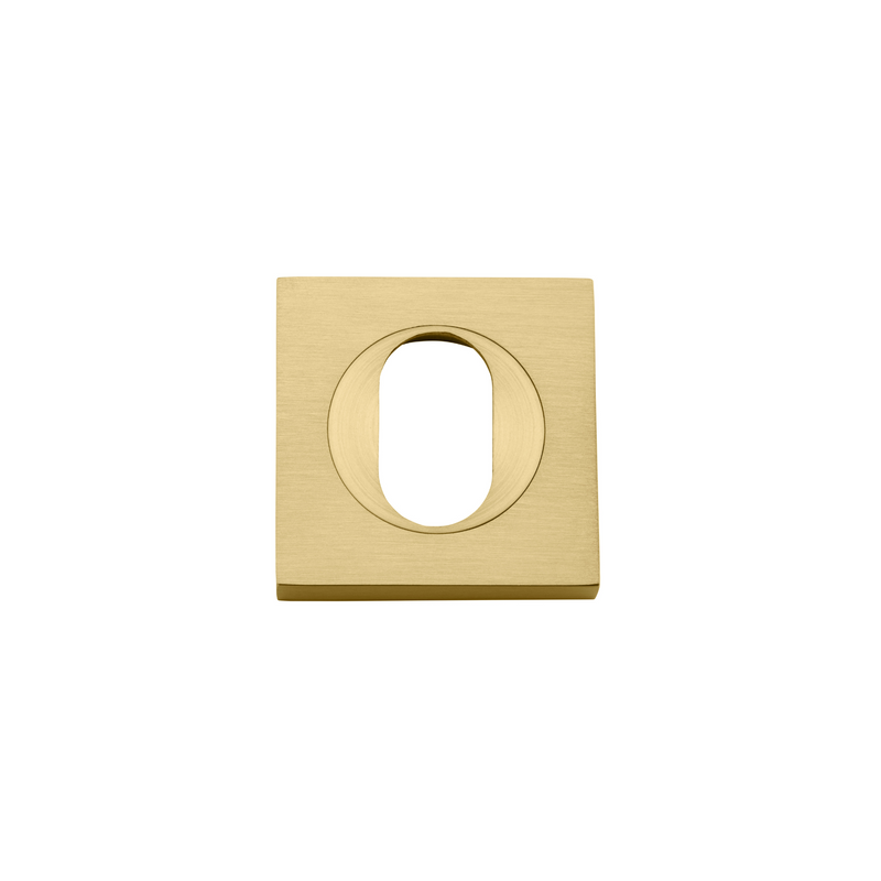 Escutcheon Pair Oval Square Brushed Gold PVD