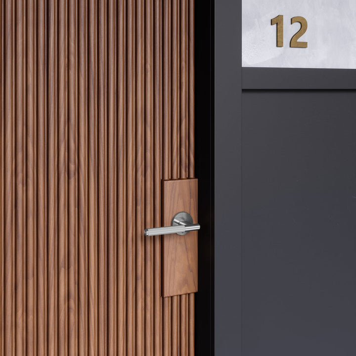 Door Handle / Linear / Sprung / Passage / Steel