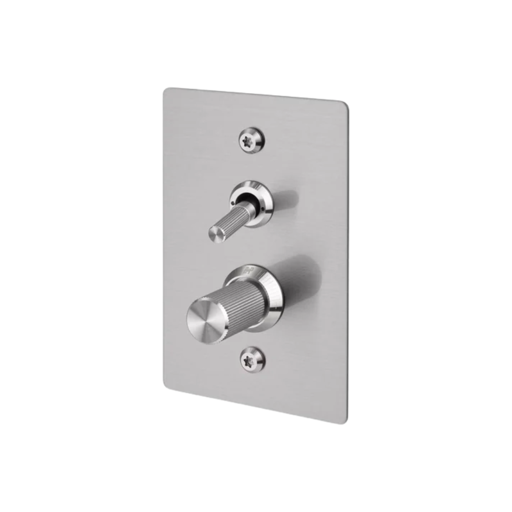 2G Toggle + Dimmer / Vertical / Linear / Steel