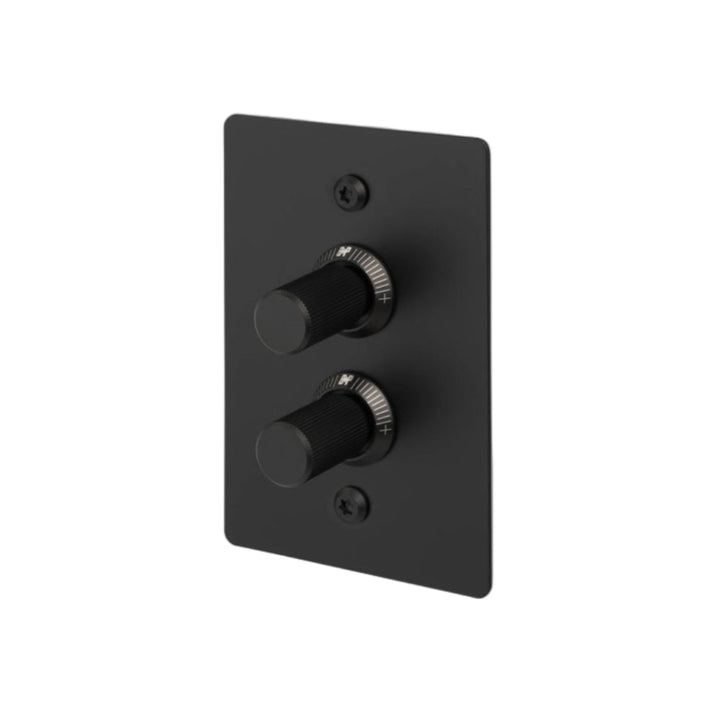 2G Dimmer / Vertical / 100W / Linear / Black