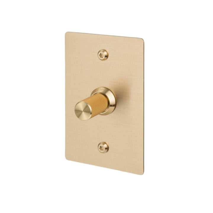 1G Dimmer / Vertical / 100W / Linear / Brass