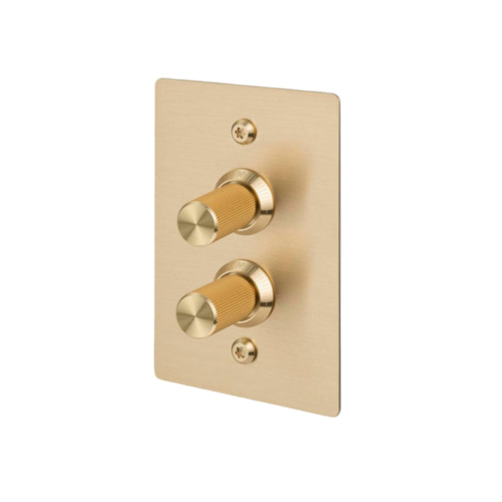 2G Dimmer / Vertical / 100W / Linear / Brass