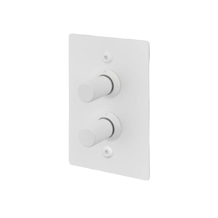 2G Dimmer / Vertical / 100W / Linear / White