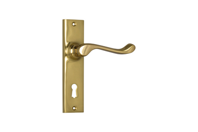 Fremantle Lever Polished Brass