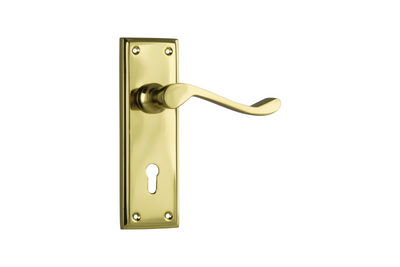 Camden Lever Polished Brass