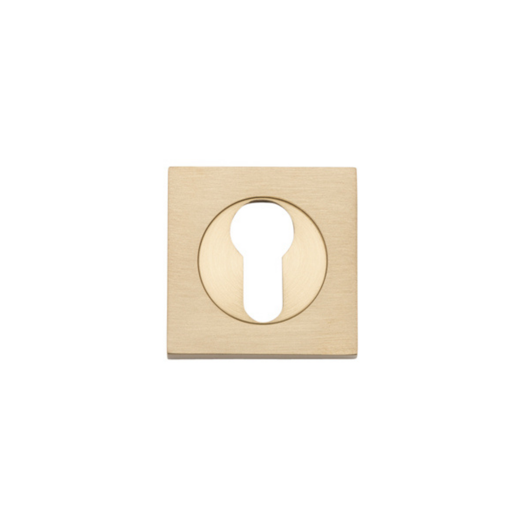 Euro Escutcheon Square Pair Brushed Brass