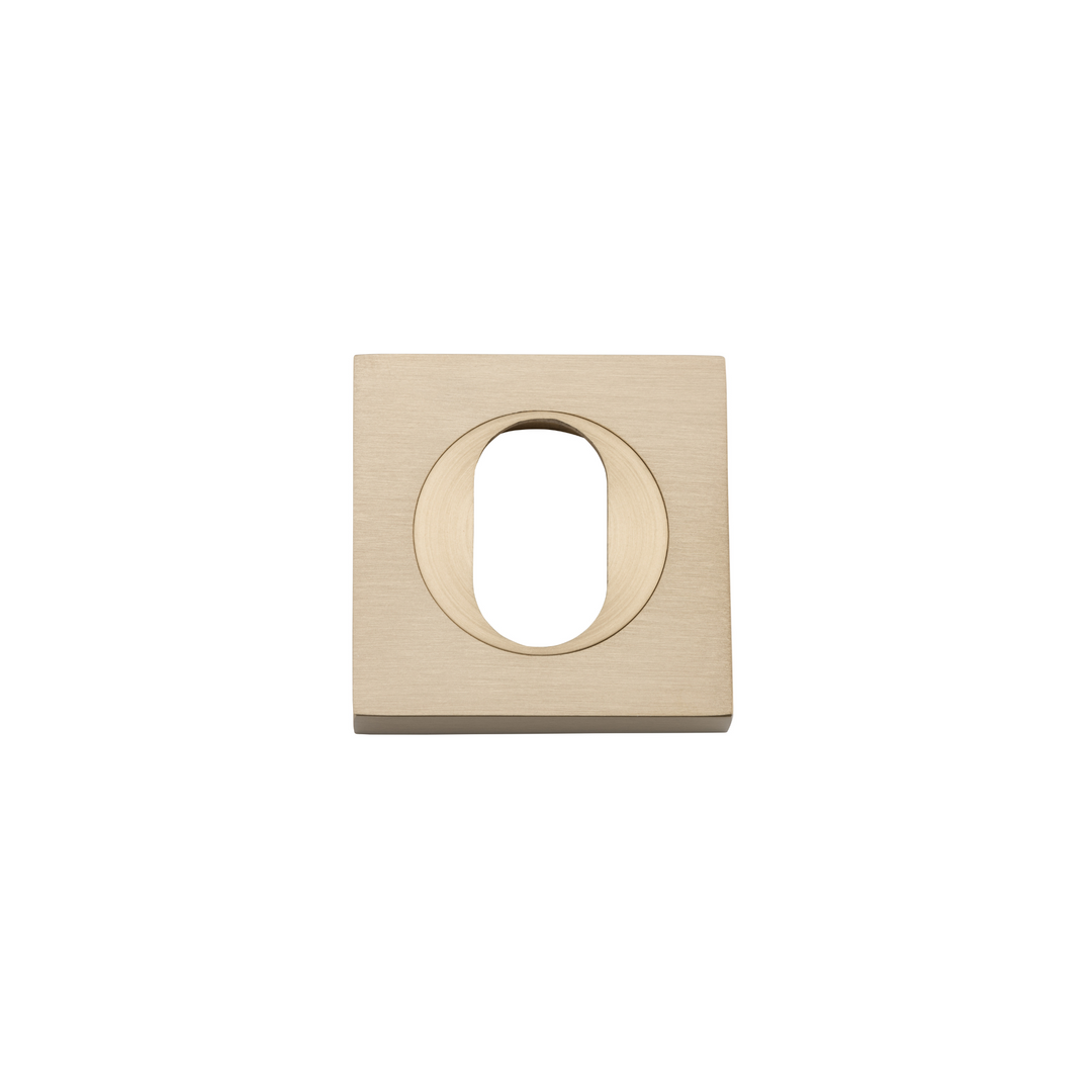 Escutcheon Pair Oval Square Brushed Brass